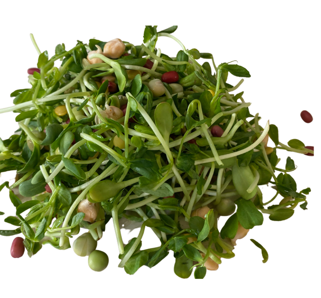 Sprouts Jonathan Sprouts