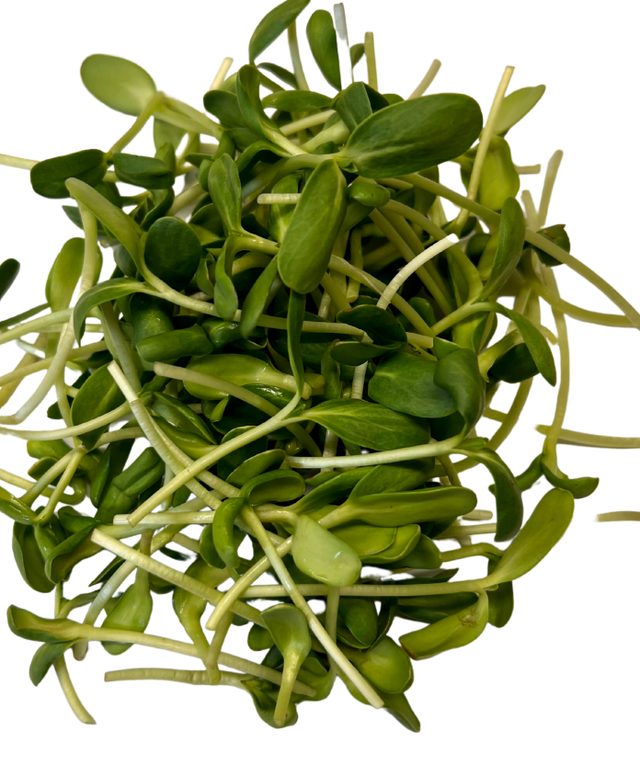 Sprouts Jonathan Sprouts