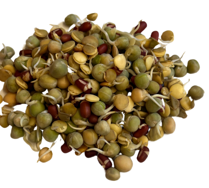 Sprouts Jonathan Sprouts